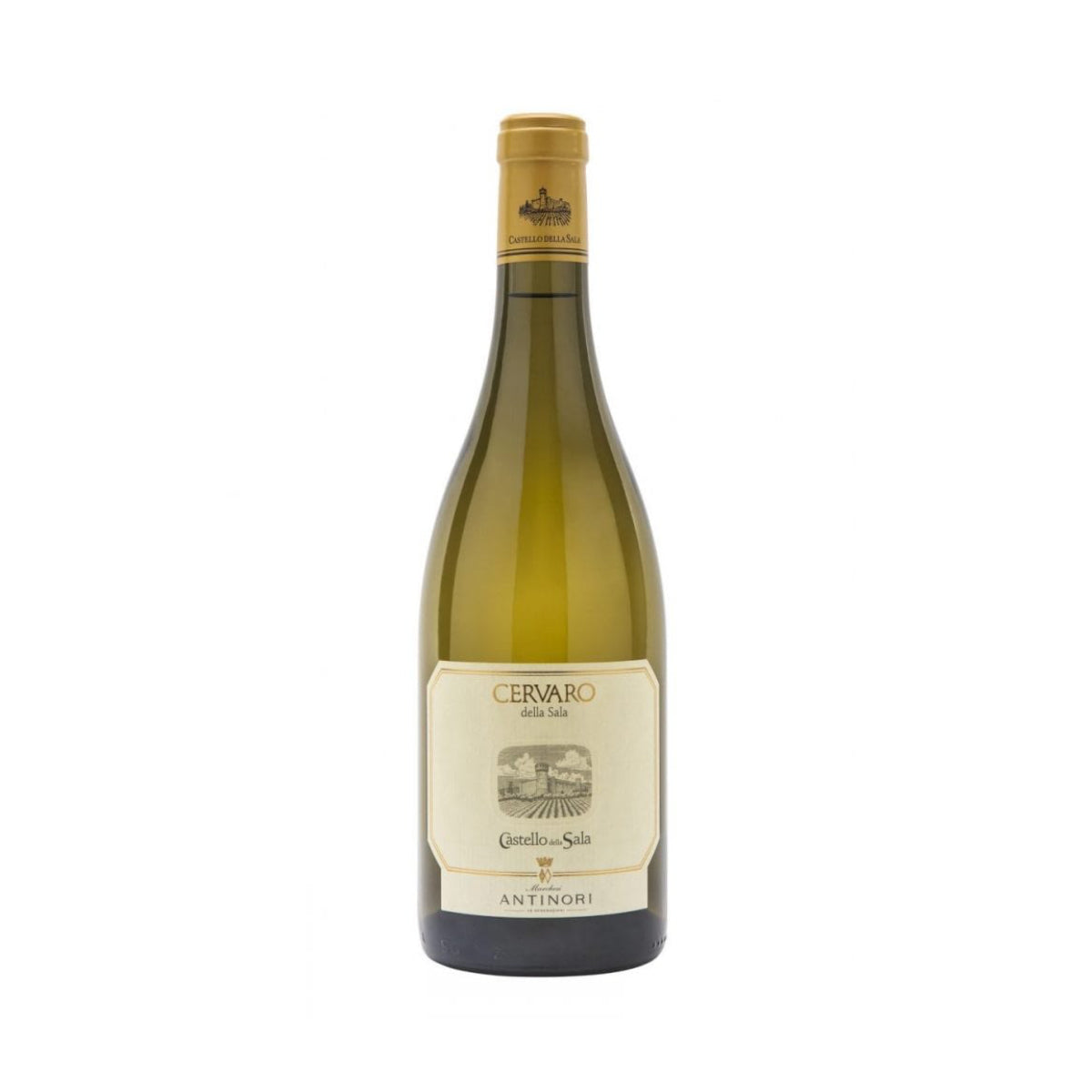 Marchese Antinori Cervaro della Sala, 2021