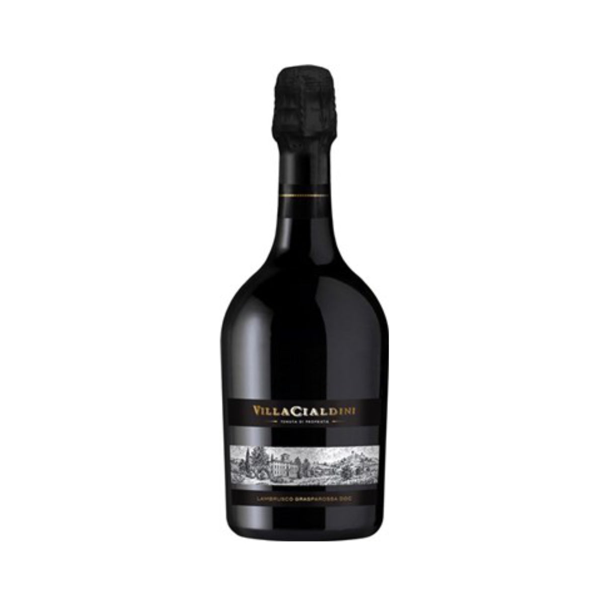 Villa Cialdini, Lambrusco Grasparossa di Castelvetro, 2022