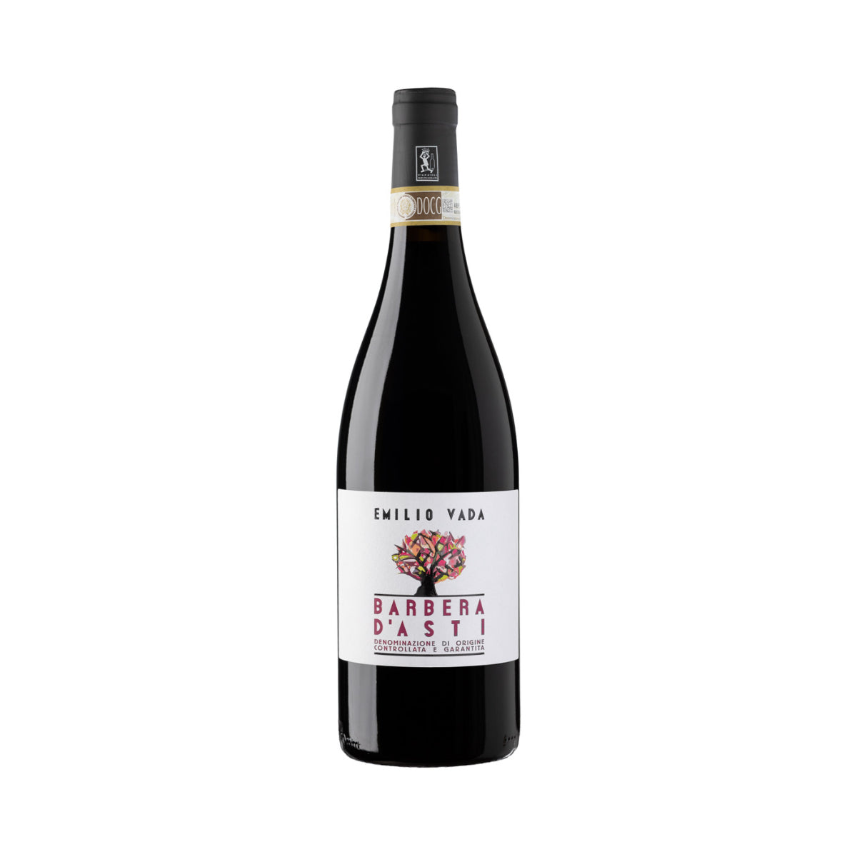 Emilio Vada Barbera Asti, 2020