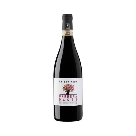 Emilio Vada Barbera Asti, 2020
