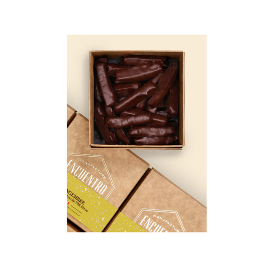 Encuentro Organic candied ginger in a chocolate coating - 150g