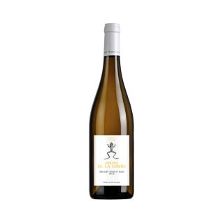 Muscadet de Sèvre & Maine sur Lie
