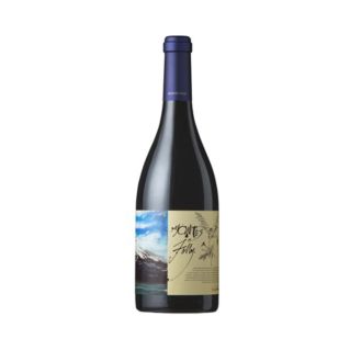 'Folly' Apalta Vineyard Syrah