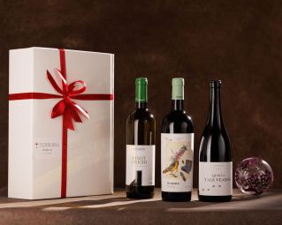 The taste of Terroirs