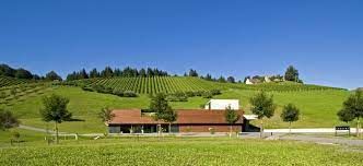 Erwin Sabathi winery.
© Terroirs Dublin