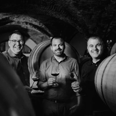 Christian, Michael and Hannes Reinisch